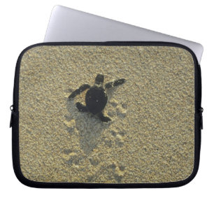 Grüne Meeresschildkröte, (Chelonia mydas), frisch Laptopschutzhülle