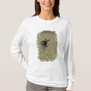 Grüne Meeresschildkröte, (Chelonia mydas), frisch  T-Shirt