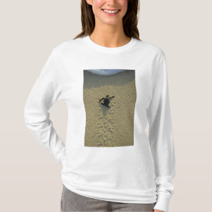 Grüne Meeresschildkröte, (Chelonia mydas), frisch T-Shirt