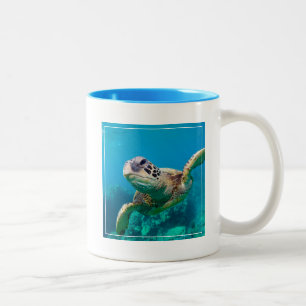 Grüne Meeresschildkröte, die über Korallenriff Zweifarbige Tasse