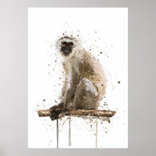 Grüne Meerkatze Poster