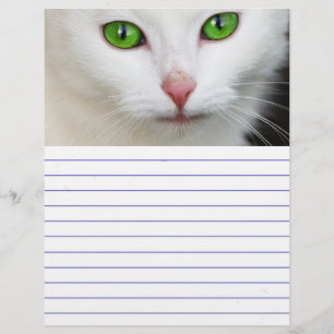 Grüne Mit Augen Katze