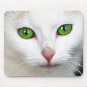 Grüne Mit Augen Katze Mousepad