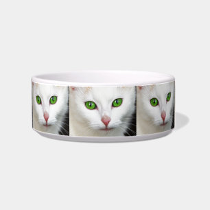 Grüne Mit Augen Katze Napf