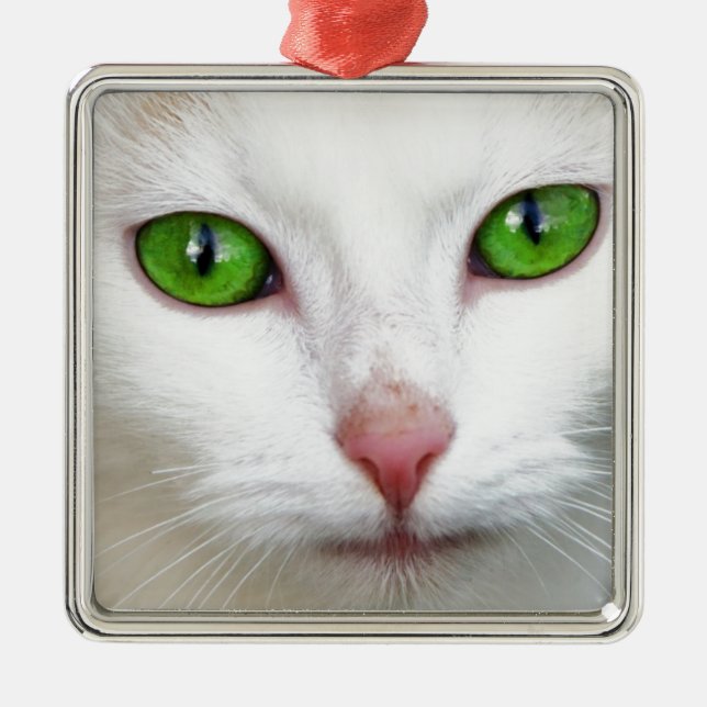 Grüne Mit Augen Katze Silbernes Ornament (Vorne)