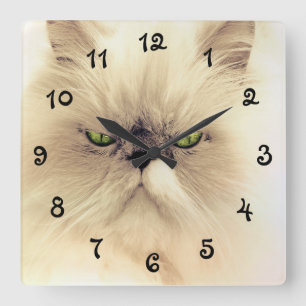 Grüne Mit Augen Perserkatze Quadratische Wanduhr
