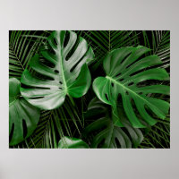 Grüne Monstera-Blätter und Blätter aus Palmen