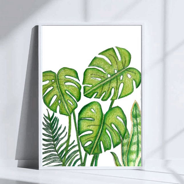 Grüne Monstera-Blätter Zeichnung Farbstift Kunst Poster (Von Creator hochgeladen)