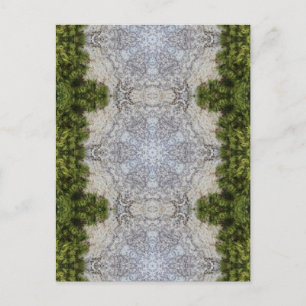 Grüne Moos und Natur Kunst Postkarte