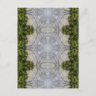 Grüne Moos und Natur Kunst Postkarte