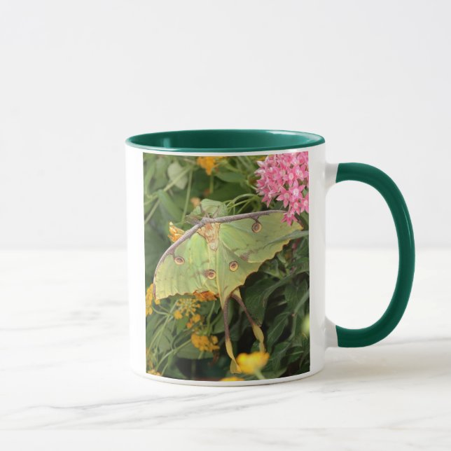 grüne Motte Tasse (Rechts)