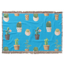 Grüne Nachspeise Sukkulente Kakteen in Pots