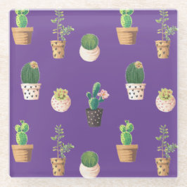 Grüne Nachspeise Sukkulente Kakteen in Pots Glasuntersetzer