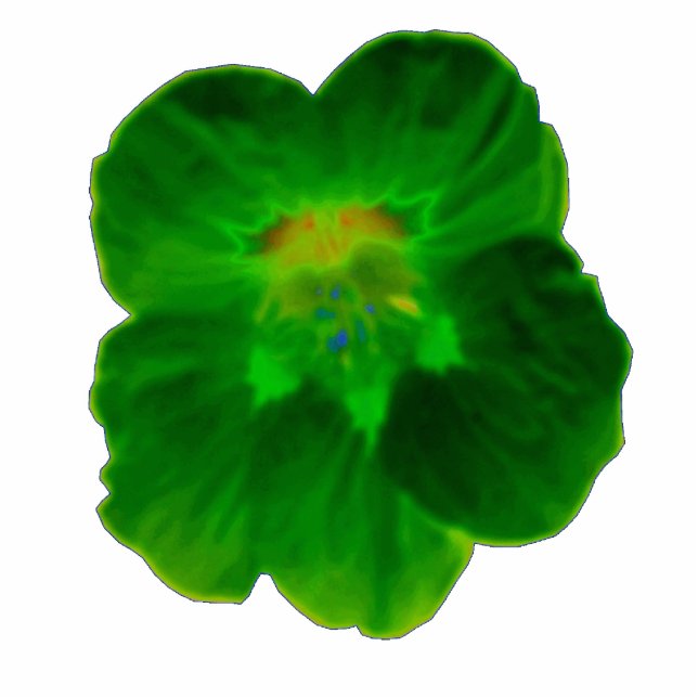Grüne Nasturtium Fotoskulptur (Vorne)