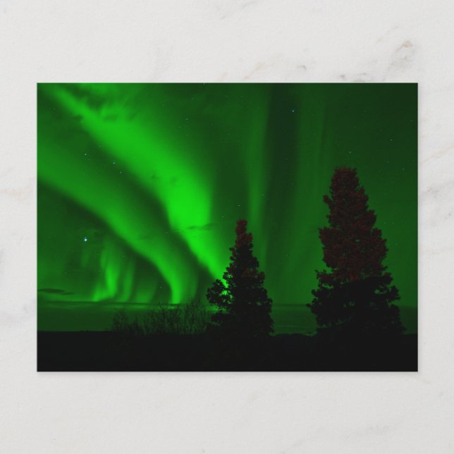 Grüne Nordlichter Postkarte (Vorderseite)