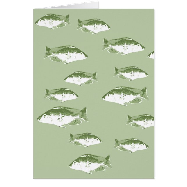 Grüne Ochsenfische (Vorne)