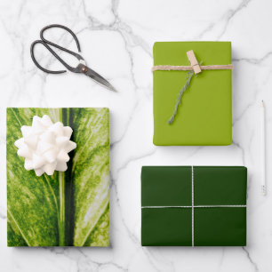 Grüne Ökologische große Geschenktasche Geschenkpapier Set