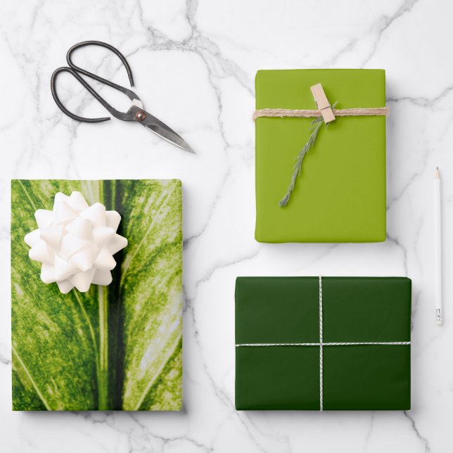 Grüne Ökologische große Geschenktasche Geschenkpapier Set (Vorderseite)