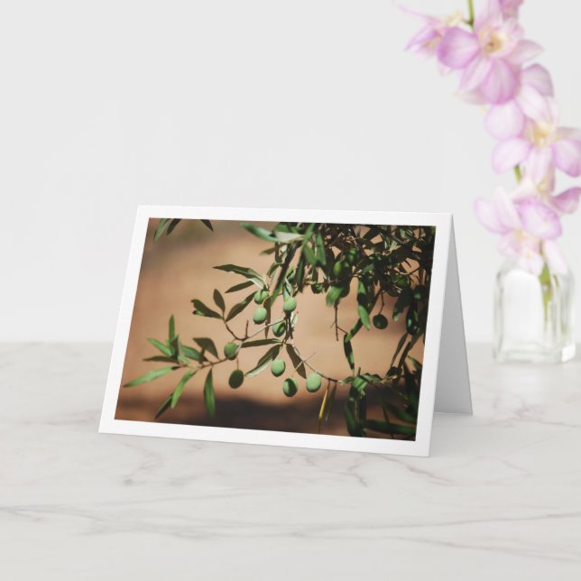 Grüne Oliven aus Olivenbaum Karte (Orchidee)