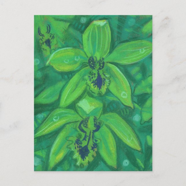 Grüne Orchidee, tropische Blume Blumenpastellfarbe Postkarte (Vorderseite)