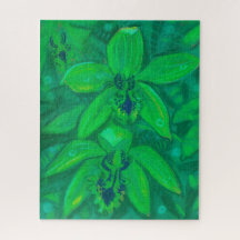 Grüne Orchidee, tropische Blume Blumenpastellfarbe