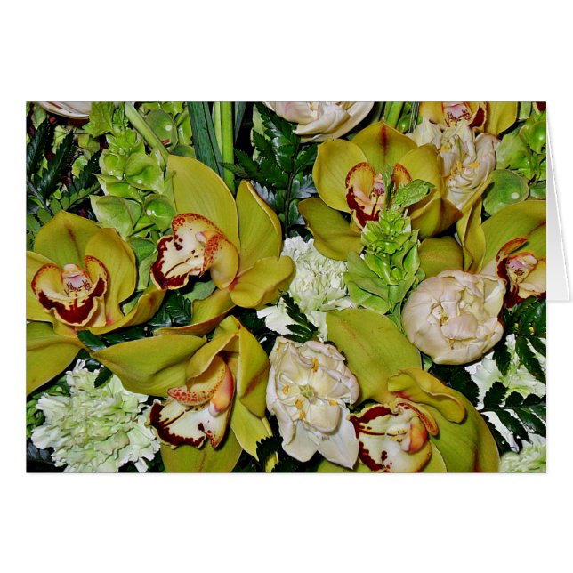 Grüne Orchideen der Liebe_ (Vorderseite (Horizontal))