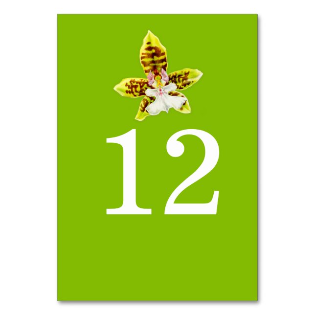 Grüne Orchideen Hochzeit Blume Tischnummer (Rückseite)