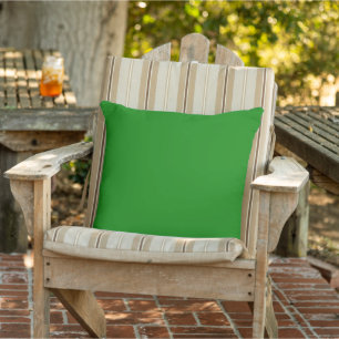 Grüne Outdoor-Kissenbezüge Kissen