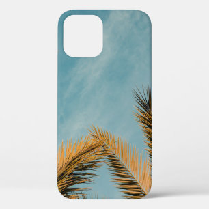 Grüne Palme unter blauem Himmel am Morgen Case-Mate iPhone Hülle