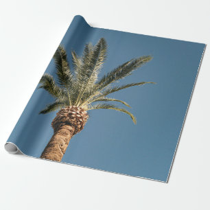 Grüne Palme unter blauem Himmel am Morgen Geschenkpapier
