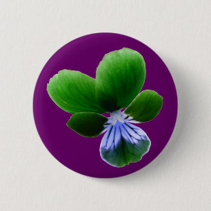 grüne Pansy-Taste Button