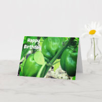 Grüne Paprikaschoten im Weinbau zum Geburtstag