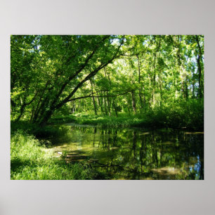 Grüne Perspektive Poster