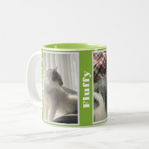 Grüne Pet-Fotos und Namen  Zweifarbige Tasse