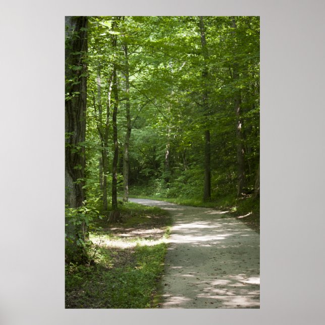 Grüne Pfade 13 Poster (Vorne)