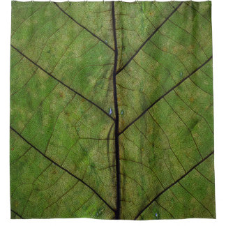 Grüne Pflanze Blatt nah-up Fotografie Duschvorhang