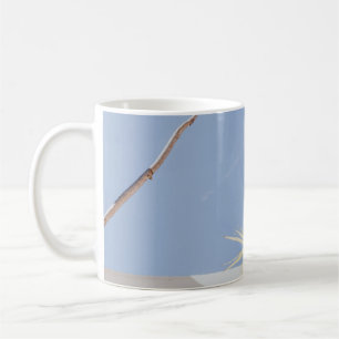 Grüne Pflanze in der Nähe der weißen Wand Kaffeetasse