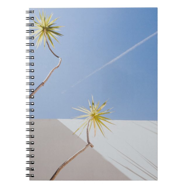 Grüne Pflanze in der Nähe der weißen Wand Notizblock (Vorderseite)