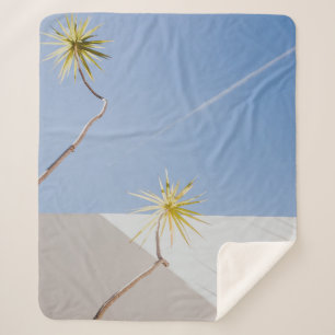 Grüne Pflanze in der Nähe der weißen Wand Sherpadecke