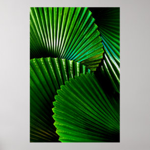 grüne Pflanze Poster
