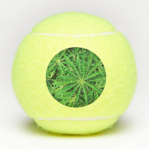 Grüne Pflanze Tennisbälle