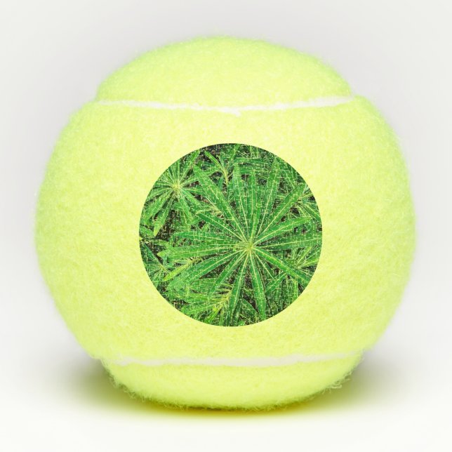 Grüne Pflanze Tennisbälle (Vorderseite)