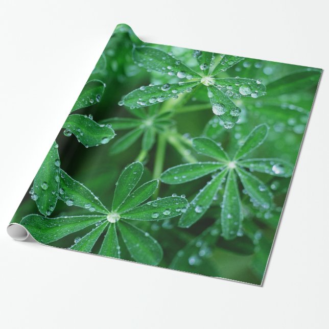 Grüne Pinwheels des Blätter mit Regentropfen Geschenkpapier (Ungerollt)