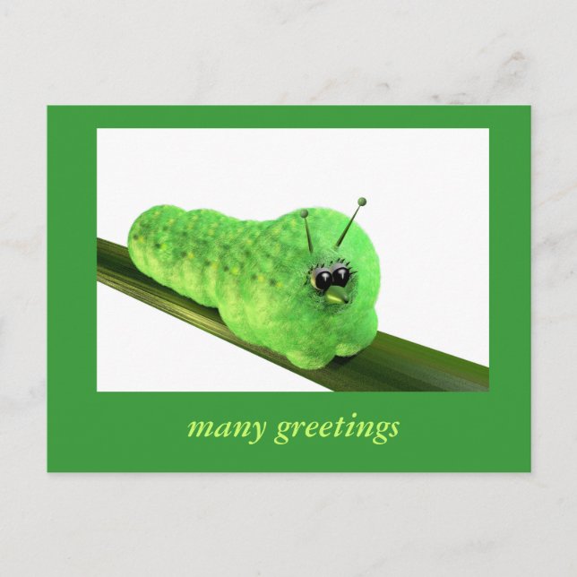 Grüne Raupe Postkarte (Vorderseite)