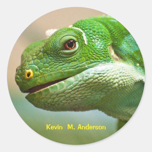 Grüne Reptilienfläche Nah Runder Aufkleber (Vorderseite)