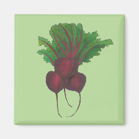 Grüne Rote Rübe Gemüse Garten Küche