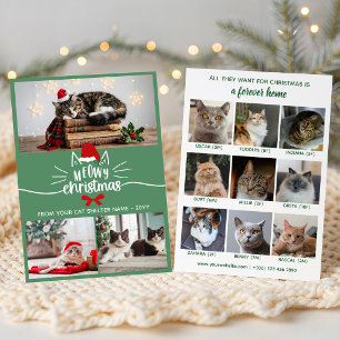 Grüne Rote Weihnachtsmannmütze Katze Zuflucht Froh Feiertagskarte