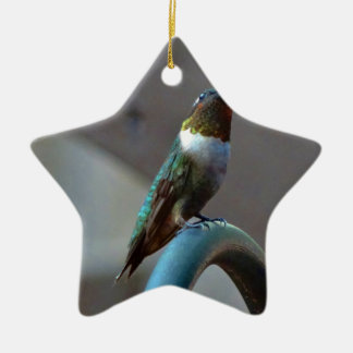 Grüne Ruby kleiner Hummingbird Keramik Ornament