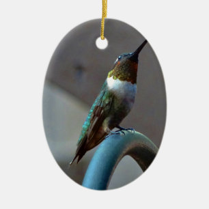 Grüne Ruby kleiner Hummingbird Keramik Ornament
