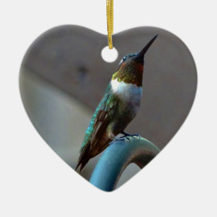 Grüne Ruby kleiner Hummingbird Keramikornament